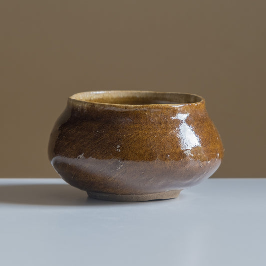 Coconut Bowl