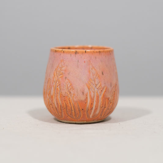 Coral Wheat Tumbler