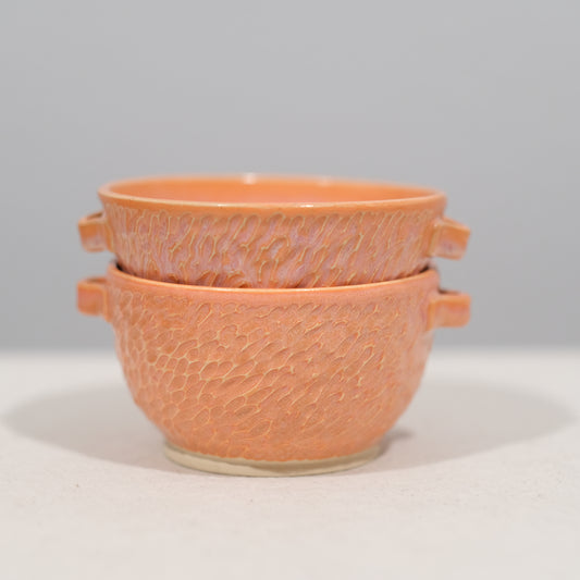 Coral Soup Bowl Pair